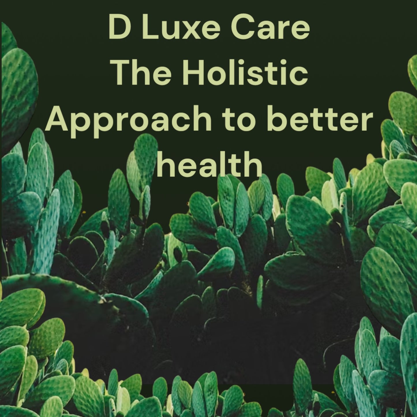 D LUXE BORIC ACID FEMININE WASH